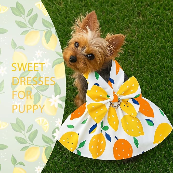 Dog Dress Bowknot Harness Leash Set for Small Dogs Yellow Lemon Dog Cat Clothes Cute Puppy Outfits Pet Clothes Spring Summer Breathable Dresses(Medium)