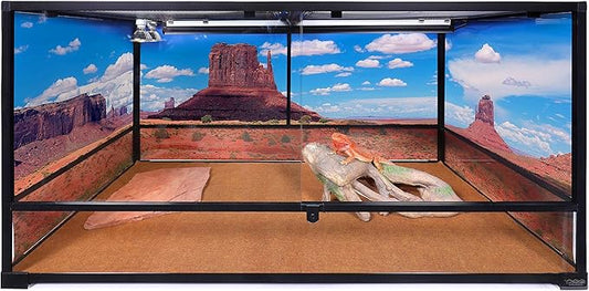 Carolina Custom Cages, 48Lx24Wx24H Tall Extra-Long Deep Terrarium; Easy Assembly