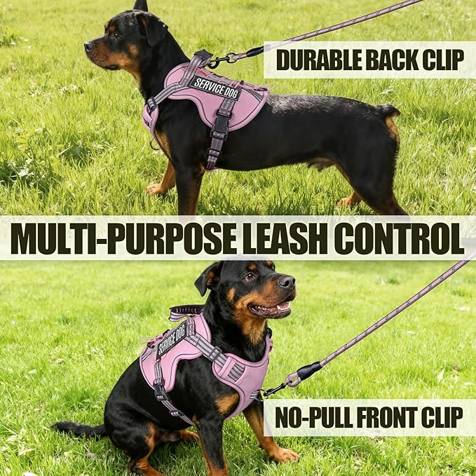 Service Dog Tactical Vest Harness and Leash Set Medium Sized Dog Emotional Support- Tactical Dog Harness Training Collar with Name (Pink, L)