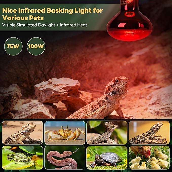 Reptile Heat Lamp Bulbs, 2 Pack 75W Infrared Heat Lamp Red Light Bulb Basking Bulb Terrarium Night Light for Bearded Dragon Chameleon Turtle Snake Gecko Lizard Chicken Tank Accessories, Red