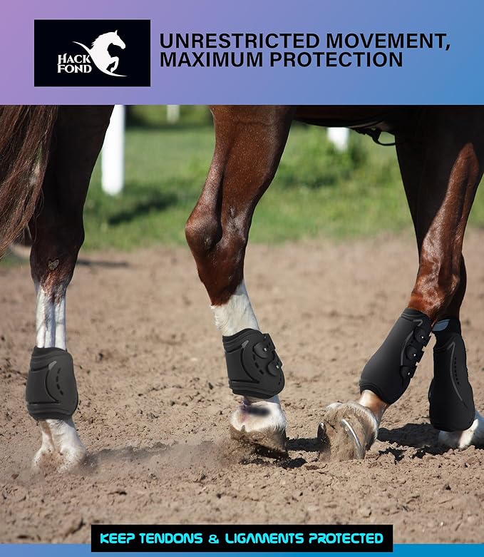 Horse Tendon Boots, Fetlock Boots & Open Front Boots for Jumping, Set of 4, Horse Protection Leg Guard