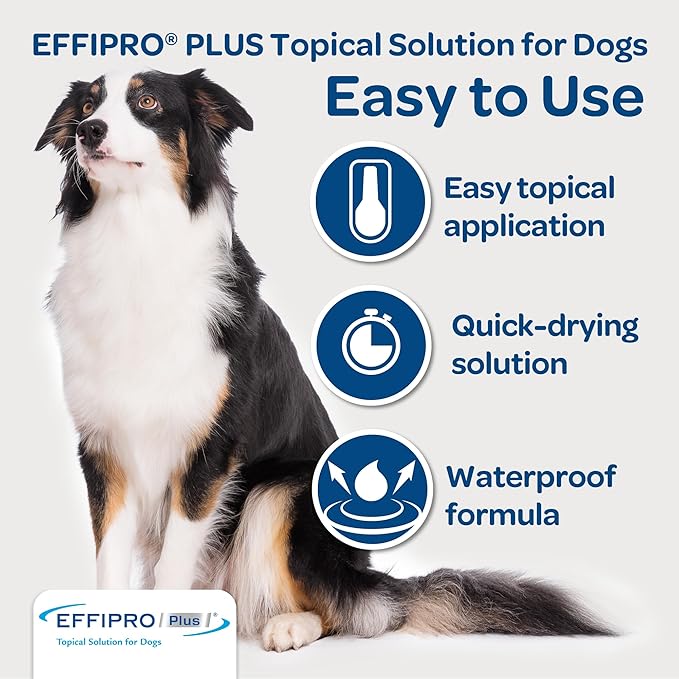 EFFIPRO PLUS Topical Solution for Dogs - Waterproof Dog Flea and Tick Treatment for Medium Dogs (23-44.9lbs) 3 Doses by Virbac