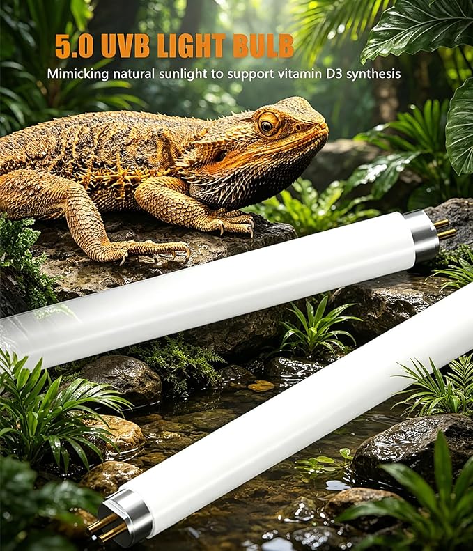 3 Pack T5 HO 5.0 UVB Reptile Light Bulb 8W 12 Inch, UVA UVB Fluorescent Lamp Tube, Simulate Natural Sunlight for Bearded Dragon, Chameleon, Turtle, Tortoise, Lizard, Reptiles & Amphibians
