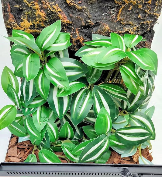 Reptile Plants for Terrarium Decor, Amphibian Habitat Decor, Snake Tank Accessories, Artificial Hanging Plants with Suction Cup-2 Packs (Zebrina Green)