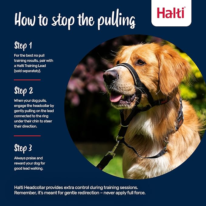 Halti Headcollar - Stop Your Dog Pulling on the Leash. Adjustable, Reflective and Lightweight, with Padded Nose Band. Dog Training Anti-Pull Collar for Medium Dogs (Size 2, Black)