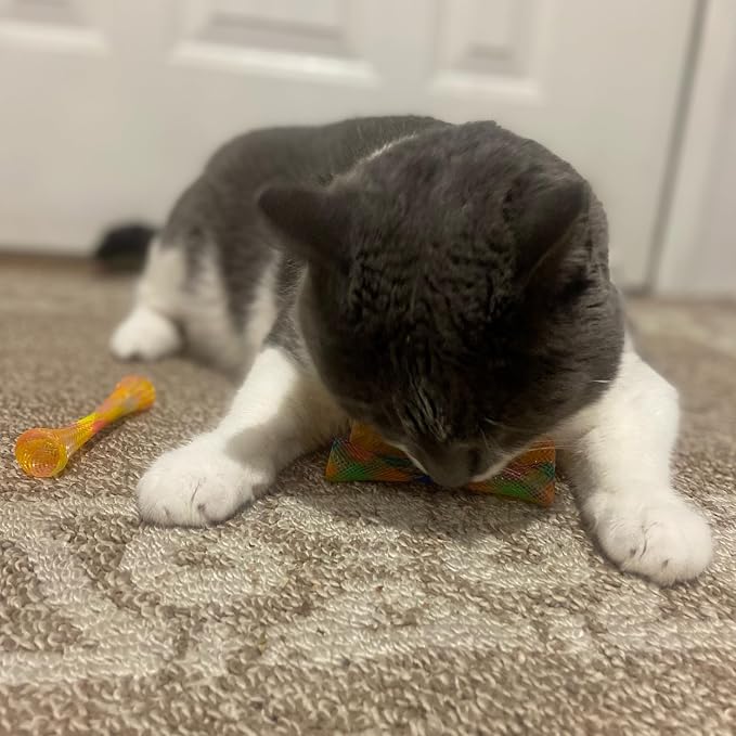SPOT Kitty Fun Tubes Cat Toy with Catnip Inside | Bouncy Interactive Mesh Toy for Cats and Kittens to Bite, Swat and Chase | 3 Pieces - Image 10
