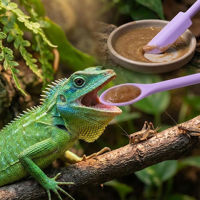 EupHHonycs 2Pcs Crested Gecko Food Mixing Spoon Long Handle Reptile Fruit Mixing Stirring Food Feeding Spoon Feeding Tool Fit Crested Gecko Gargoyle Bearded Dragon