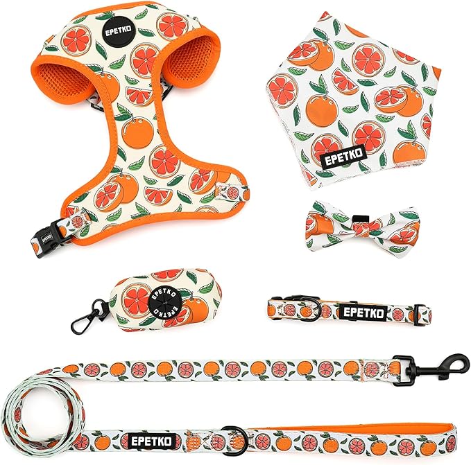 Small Dog Harness and Leash Set of 6, No Pull Soft Lightweight Mesh Puppy Harness， Adjustable Cute Floral Pattern Pet Harness for Small Medium Dogs (Orange, XS)