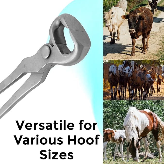 14" Curved Hoof Nipper, Carbon Steel & Chrome Vanadium Farrier Tool for Horses – Durable, Sharp & Rust-Resistant