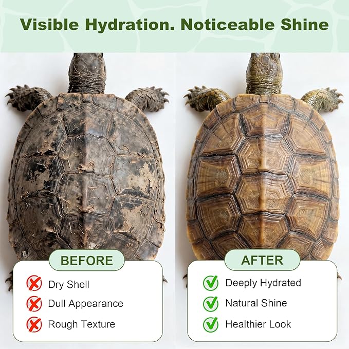 Reptile Shell Care Balm – Moisturizing Conditioner for Tortoise Shell & Lizard Skin – Hydrates Dry Shells in Tanks, Basking Areas & Low Humidity Environments