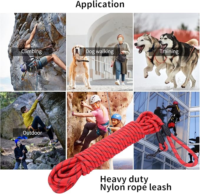 Long Dog Leash for Training 50Ft-Reflective Nylon Rope with Swivel Hook-Recall Agility Lead for Large Small Medium Dogs Outside Walking Hiking-Red