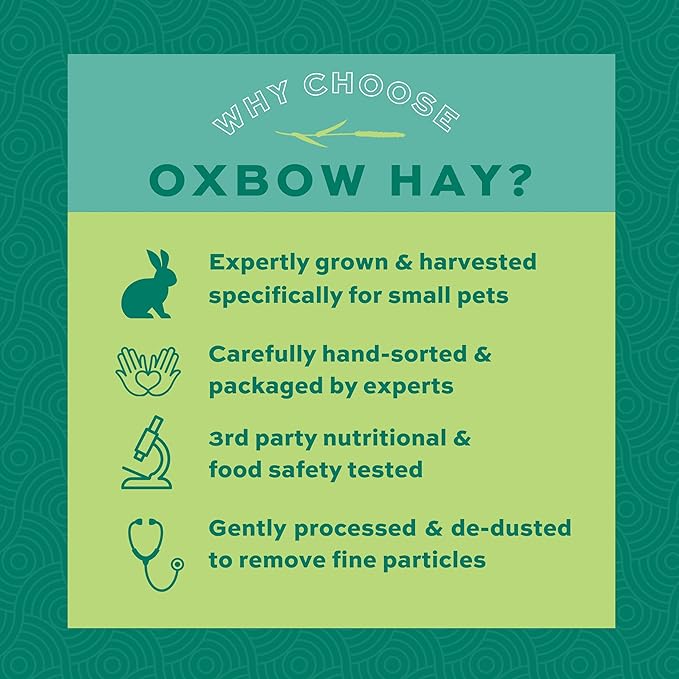 Oxbow Animal Health Orchard Grass, Guinea Pig Hay, Rabbit Hay, Small Pet Bunny Supplies, All Natural Grass for Guinea Pig, Bunny, Chinchilla & Hamster, Oxbow Rabbit Supplies for Bunnies, 9 lb. box
