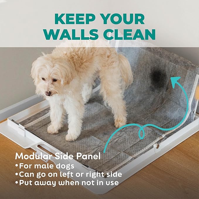 KindTail Pee PAWD - Holds Standard 24" x 24" Potty Pads - Leakproof Tray with Non-Slip Bottom, 1.5" Raised Edge & Modular Side Panel - Easy-to-Clean Plastic - Foldable Design - Handle for Travel