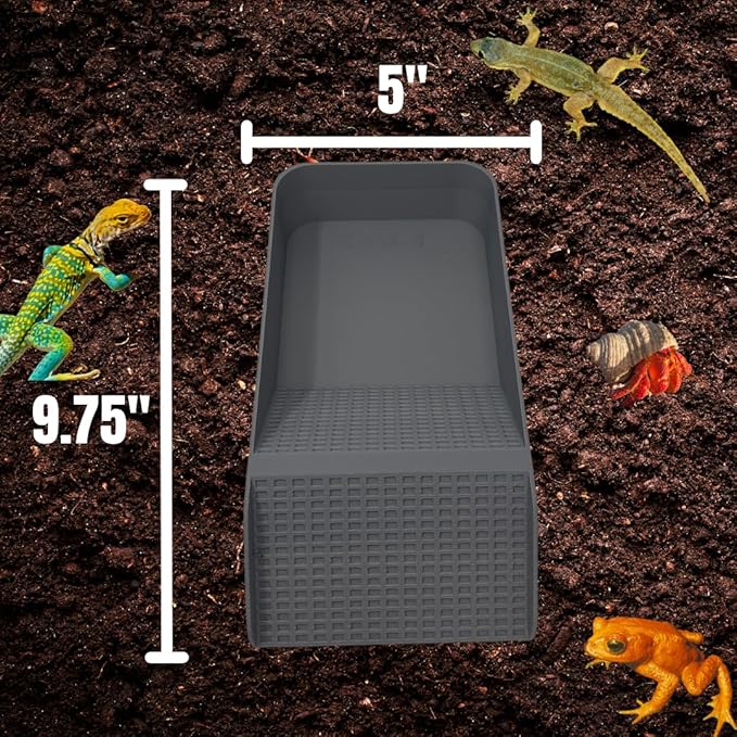 Chatelet Hermit Crab, Lizard, Turtle, Amphibian XL Watering Pool | Platform Pool Accessory with Access Ramp for Pet Habitats | 9.75" x 5" | Made in USA (X-Large) (Salt Only, Gray)