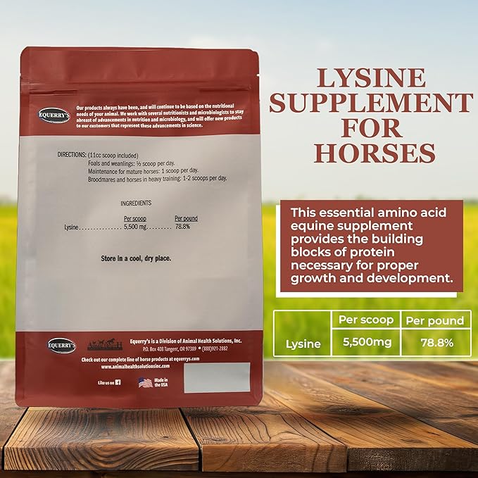 Equerry's Lysine Supplement for Horses | Lysine Powder Supplement for Muscle Support and Immune Health | Balances Forage-Based Diets | 5Ib Bag
