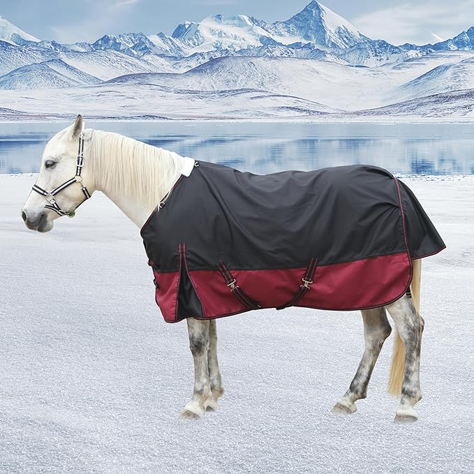 1200D Ripstop Waterproof Breathable Horse Blanket (200g Fill), Medium Weight Warm Winter Turnout, Thermal Protection for Cold & Snow Blackwine 84"