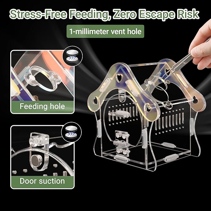 Mushroom Jumping Spider Enclosure Kit, 3mm Acrylic Habitat Tank with Magnetic Feeding Door & Lock, No-Tool Assembly for Jumping Spiders, Mantis, Small Tarantulas
