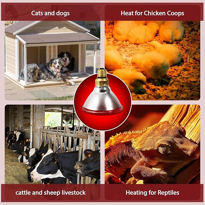Heat Lamp, 175W Heat lamp Bulbs, PAR38 Infrared Heat lamp, Halogen Heat for Food Service, Brooder Bulb, Chicks, Pet, Bathroom, Light Therapy Use E26 Base, Flood Light Heat Lamp. 2 Pack