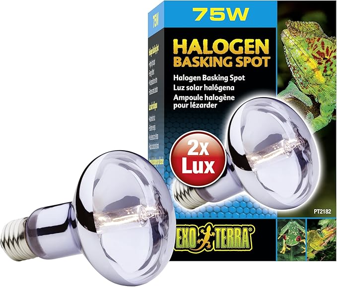 Exo Terra Sun Glo Halogen Basking Spot Lamp – 75W Reptile Light Bulb, Broad Spectrum Daylight, Enhances Coloration, Promotes Health, PT2182