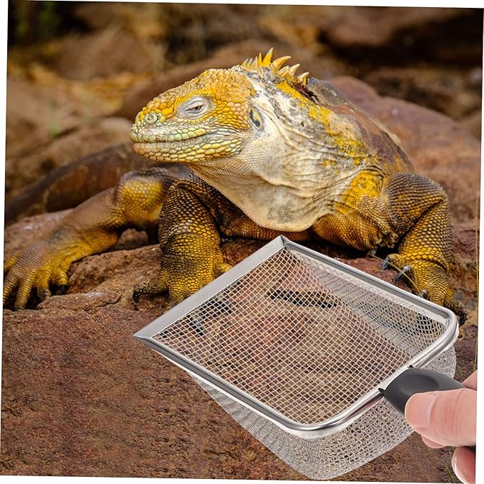 Abaodam 1pc Stainless Steel Reptile Sand Scoop Ergonomic Handle for Easy Excrement Removal Tortoise and Lizard Terrariums for Cleaning Substrate and Litter Areas