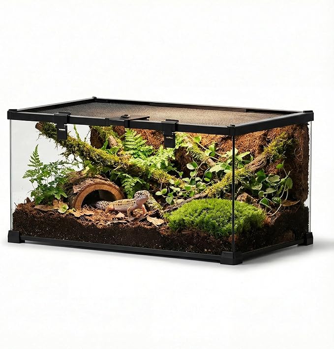 20"x12"x10" Mini Reptile Glass Terrarium, Top-Opening Vivarium with Escape-Proof Lock & Feeding Door, Suitable for Small Reptiles & Amphibians, Such as Leopard Geckos & Horned Frogs.