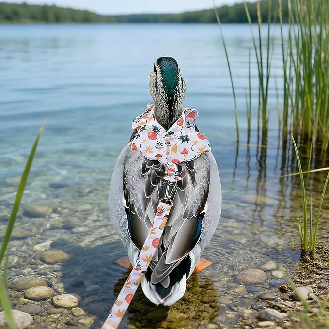 2 Pcs Chicken Leash, Duck Harness and Leash Set, Adjustable Small Animal Harness Leash, Chicken Leash and Harness Set, Chicken Vest Easy to Wear for Goose Duck Training Walking Strap Traction Rope