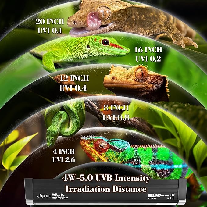 14W Reptile T5 HO UVB 22.6" 5.0 Light Fixture with Tube, Tropical Arboreal Hood for Terrariums, Suitable for Tropical Reptiles Like Veiled Chameleon