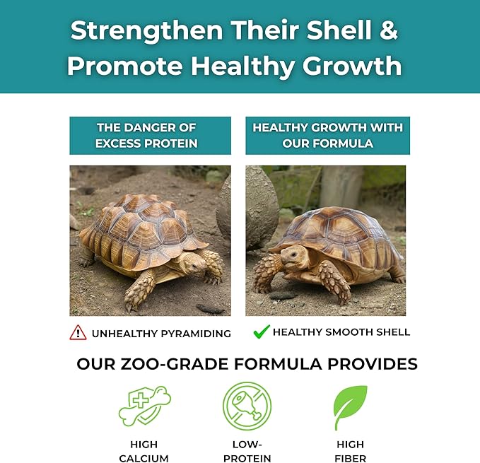 Baby Sulcata Food Powder with Calcium - Scientifically Formulated Diet for Healthy Growth - High Fiber Low Protein with Probiotics | 2.5 oz Bag | 2 Week Supply