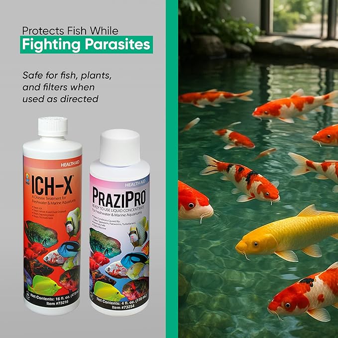 ICH X 16 fl oz, PraziPro 4 fl oz for Freshwater, Including Trinity Treats Microfiber Cleaning Cloth (ICH X for Freshwater Fish, PraziPro for Fish)