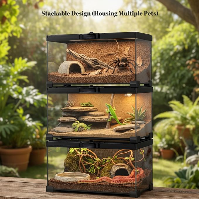 12"x8"x6" Mini Reptile Glass Terrarium Set (7 Pcs) Full View Hermit Crab Tank, Habitat Enclosure with Feeding Slot & Lock for Lizard, Bearded Dragon, Snake, Amphibians & Small Pets