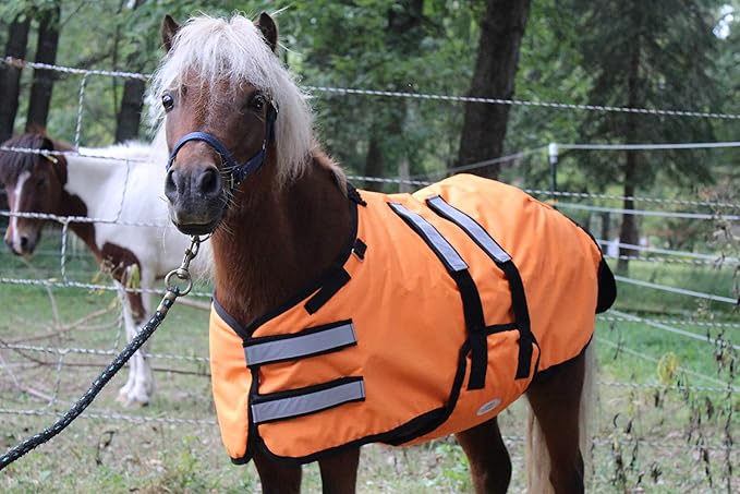 Derby Originals Mini Horse & Foal Winter Turnout Blanket – Reflective, No-Hardware Design, 600D Waterproof Outer, 150g Insulation, 170T Lining, Adjustable Fit, 1-Year Warranty