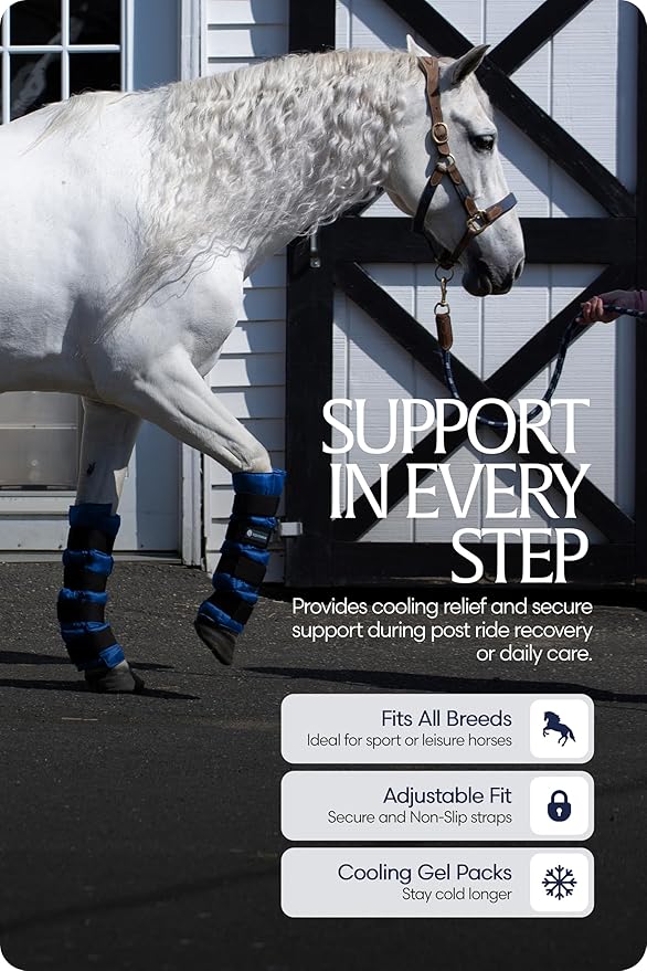 Equinavia Cool Relief Therapy Ice Boots Leg Wraps Pair for Horses, Gel Pack with Adjustable Straps | 16.5" x 15.5" with Storage Bag - Royal Blue - Pair - One Size