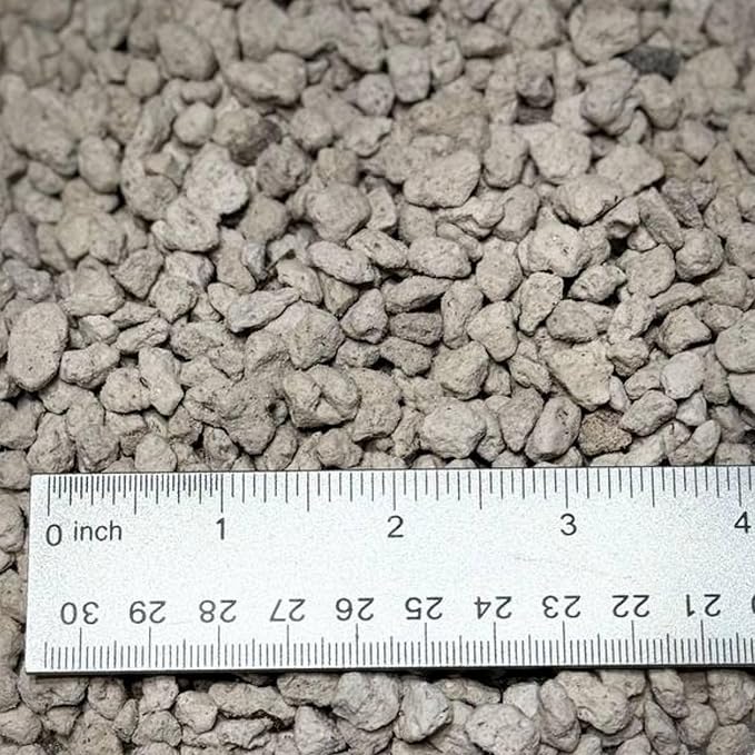 GARDENWISE Horticultural Pumice for Plants, Natural Pumice Stone Soil Amendment, 3/8-1/4 inch, Made in USA (5 quarts - 4.5 lbs)