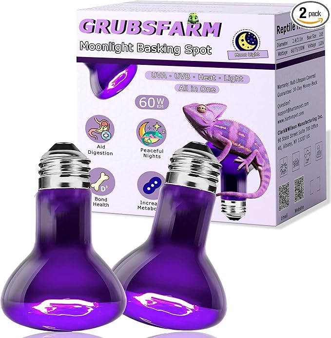 Reptile Moonlight Bulb 60W