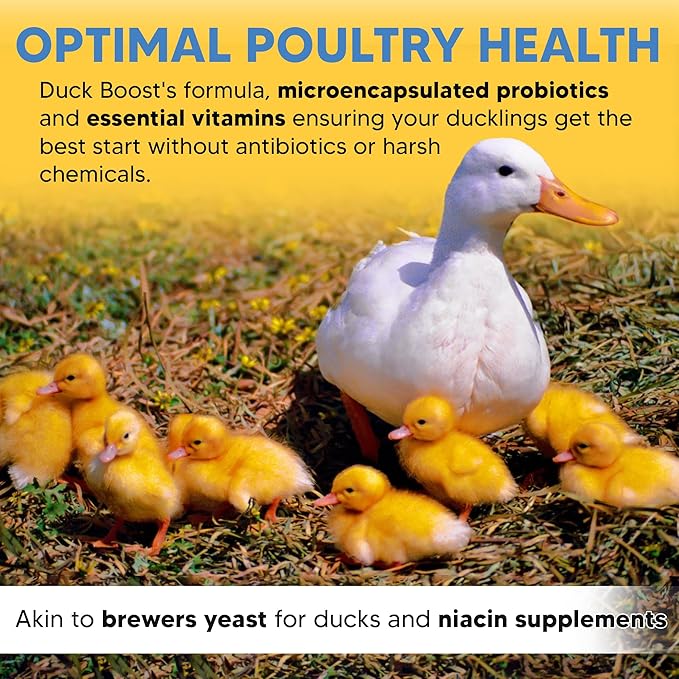 Flock Pro's Duck Boost Essential Waterfowl Supplement with Probiotics, Brewers Yeast Powder & Organic Oregano - 8 oz (22.5 Gal)