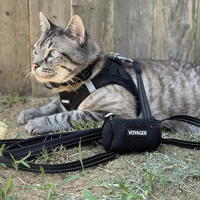Best Pet Supplies Voyager Step-in Air All Weather Mesh Harness and Reflective Dog 5ft Leash Combo with Neoprene Handle, for Small, Medium and Large Breed Puppies - Set (Black), Small
