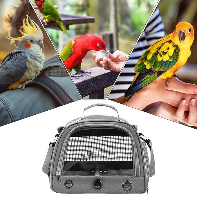 Portable Animal Backpack - Bird Travel Carrier, Comfort Handle Pouch | Mesh Sided Transport Case for Exotic Pets, Soft Crate for Outdoor Walking Trips, Bag for Vet Appointments