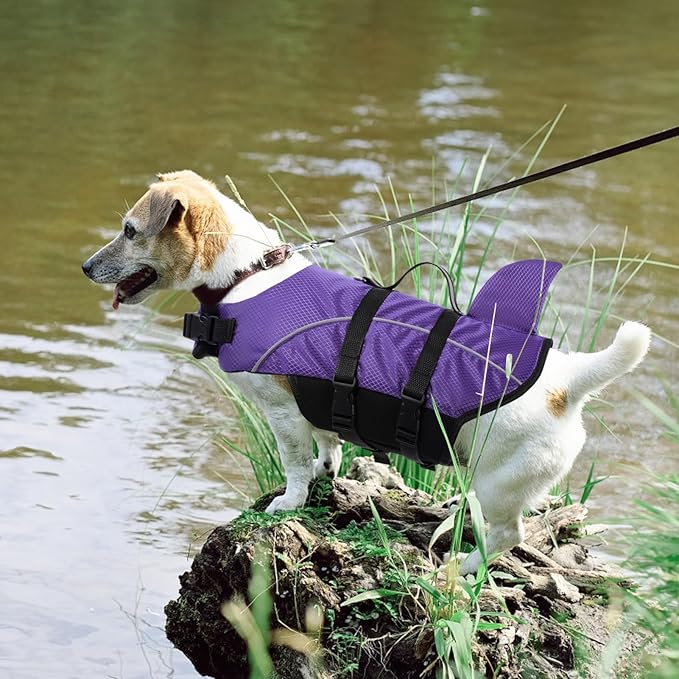 Queenmore Cat Life Jacket, XXS Extra Small Dog Life Vest, Puppy Life Vest for Swimming, Small Dog Vests for Boating, Lightweight High-Vis Water Floating Vest with Rescue Handle/Leash Hook