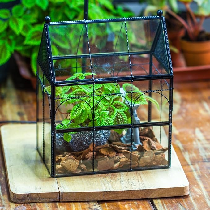 NCYP Glass Jumping Spiders Enclosure with Vent Holes - 7.5" x 4.9" x 9" Vented Glass Terrarium for Small Spider, Mantis, Small Beetle, House Shape, Tabletop Decor, Black (Terrarium Only)