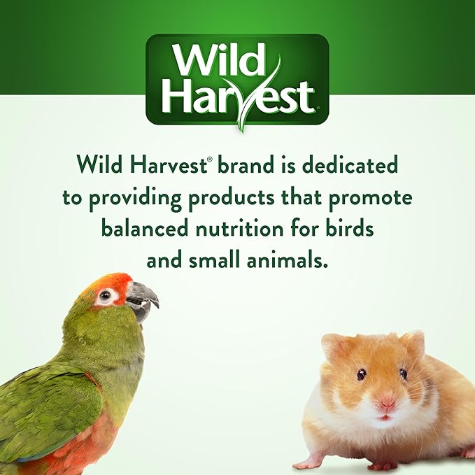 Wild Harvest Treat Stick with Tough Core for Small and Medium Birds, 1 oz Count, 100% Edible Interactive Treat and Toy Made with Rawhide Prepared Especially for Birds (Pack of 6)