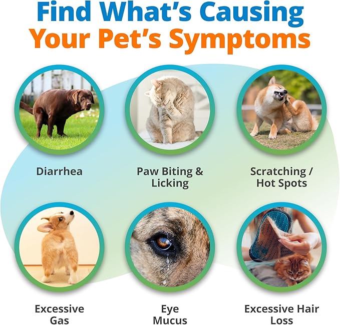 5Strands Pet Food Intolerance Test, at Home Sensitivity Test for Dogs & Cats, 575 Items Tested, Hair Analysis, Accurate for All Ages & Breeds, Pet Gut Health, Results in 4 Days