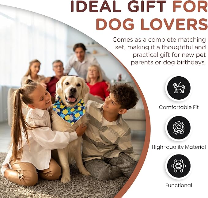 No Pull Harness and Leash Set - 6-in-1 Adjustable Vest Harness and Collars for Medium and Large Dogs. (Lemon, Large)