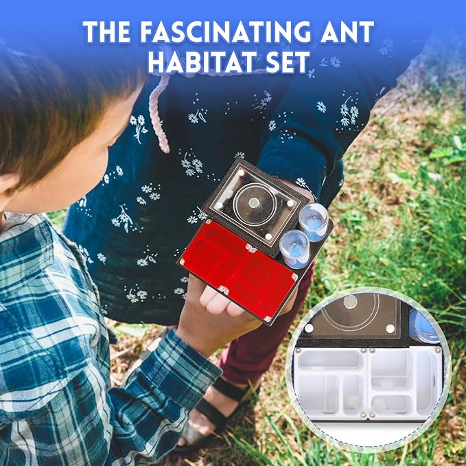 Ant Farm Nest - Educational Habitat - Black and White Acrylic Design with Built-in Water Tower and Clear Observation Area (M-2)