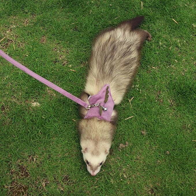 Bearded Dragon Harness and Leash Set - Soft Fleece Dinosaur Vest with Safe Bell Adjustable Lizard Traction Rope Escape Proof Outdoor Walking Training Leash for Ferret Rat Kitten Puppy (Purple)