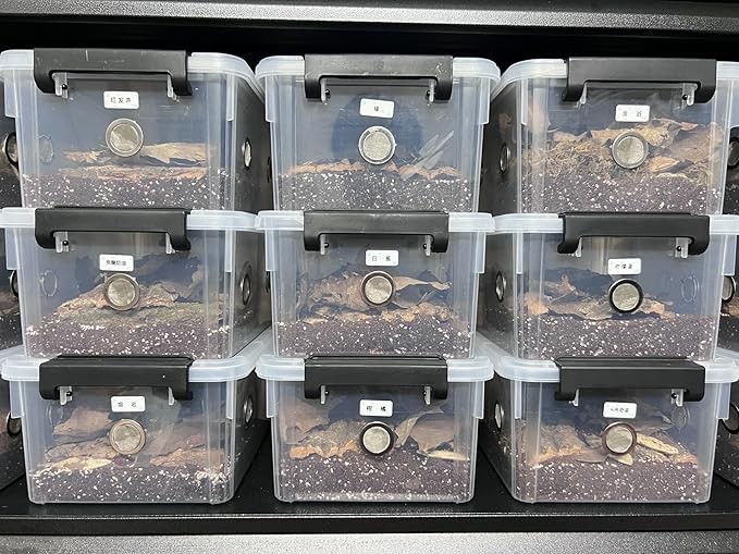 2pcs Large Reptile Feeding Box Snake Breeding Box Plastic Reptile Tank for Sling,Geckos,Frog,Lizards,Chameleons,Turtles, Serpents Scorpion Snail Insect Hermit Crab Spider