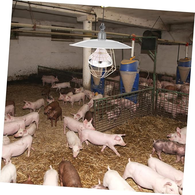 Heating Lamp Poultry Heat Lamp with and Materials for Pets Reptiles and Breeding Safe and Convenient Use