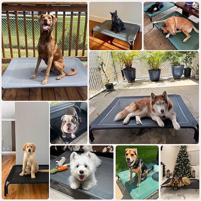 Elevated Dog Bed Raised Outdoor Dog Cot for Large Dogs, Installation Requires No Tools, Frame with Washable Cooling Breathable Mesh Anti-Slip Feet, Indoor Pet Bed, Blue, 43.3 Inches
