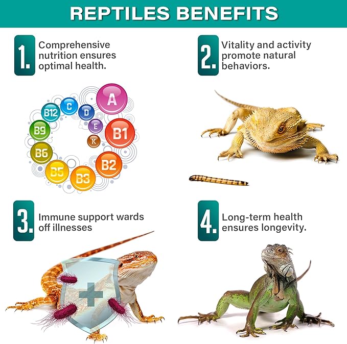 Gargeer 4oz Reptile Multi-Vitamin Supplement. Premium Ingredients, Rich with Organic Fruit, for Full Growth and Development Support. Boosted with Minerals and Amino Acids, Proudly Made in USA. Enjoy!