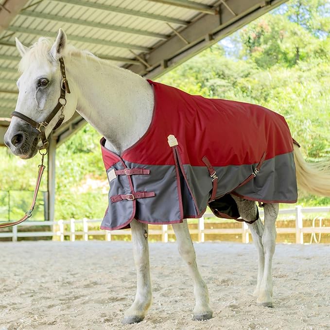 BARN & STABLE 600Denier 3000mm/3000mvp Super Waterproof & Breathable Horse Blankets for Winter with 200g Fill