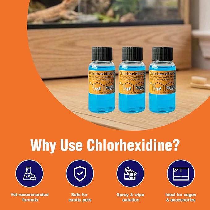 CAROLINACUSTOMCAGES 3 Refills of 32 oz Each, Chlorhexidine Solution 2%, Chlorhexidine Cleaning Solution, Chlorhexidine Spray for Reptile Habitats